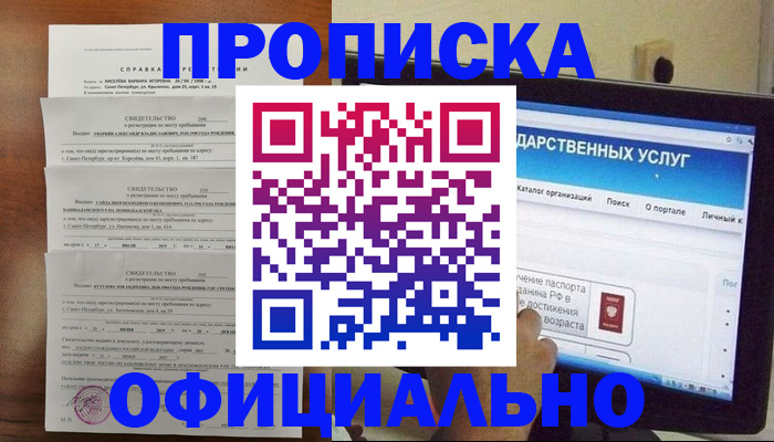 временная регистрация для школы в Шали